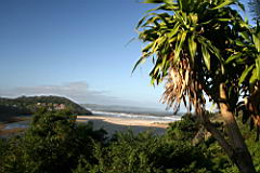 1011 cintsa IMG_3990.JPG